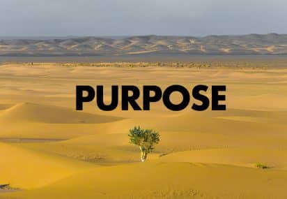 purpose in the desert