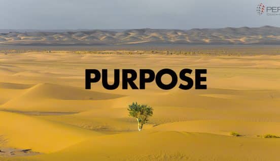 purpose in the desert