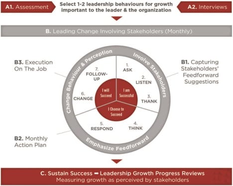 Perspect Stakeholder Centred Coaching Process